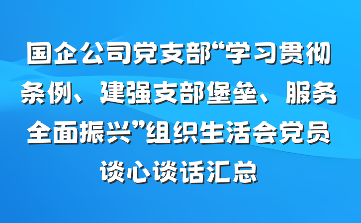 国企公司党支部“学习贯彻条例、建强支部堡垒、服务全面振兴”组织生活会党员谈心谈话汇总