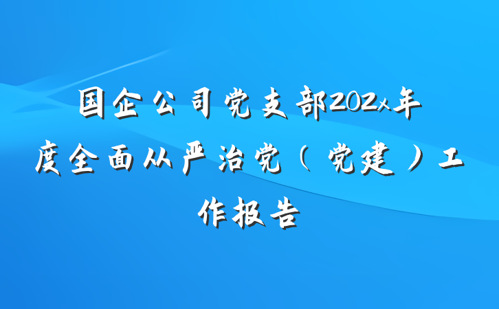 国企公司党支部202x年度全面从严治党（党建）工作报告