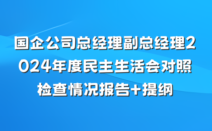 国企公司总经理副总经理2024年度民主生活会对照检查情况报告 提纲