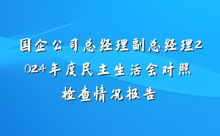 国企公司总经理副总经理2024年度民主生活会对照检查情况报告