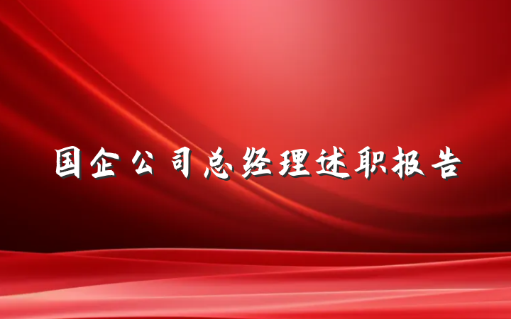 国企公司总经理述职报告