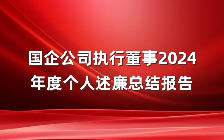 国企公司执行董事2024年度个人述廉总结报告