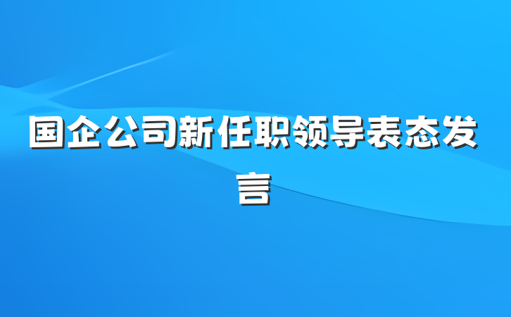 国企公司新任职领导表态发言