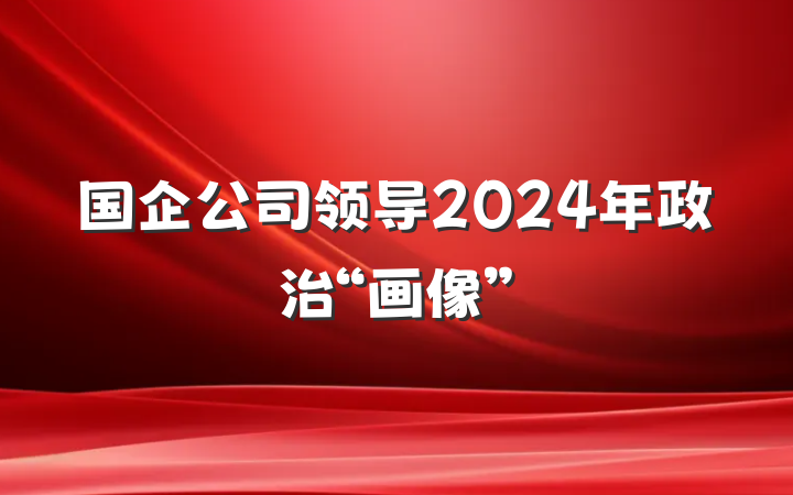 国企公司领导2024年政治“画像”