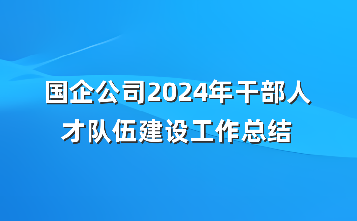 国企公司2024年干部人才队伍建设工作总结