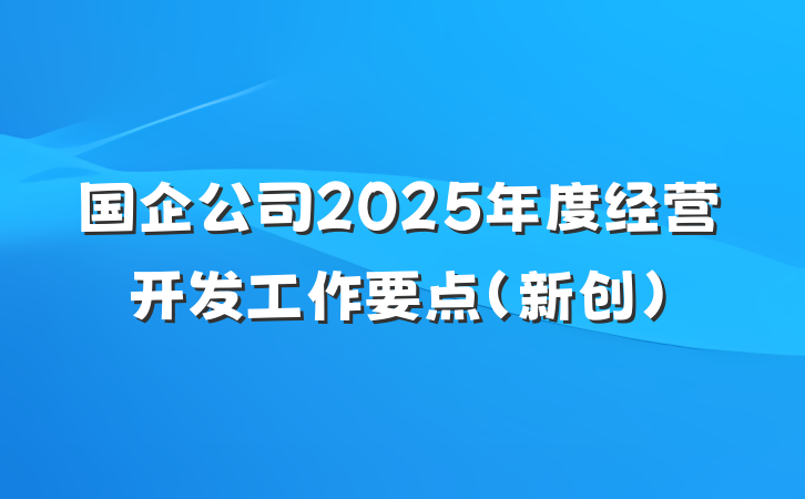 国企公司2025年度经营开发工作要点（新创）
