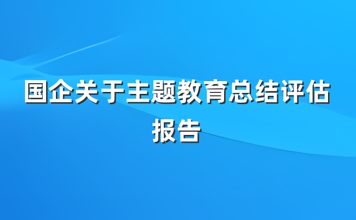 国企关于主题教育总结评估报告