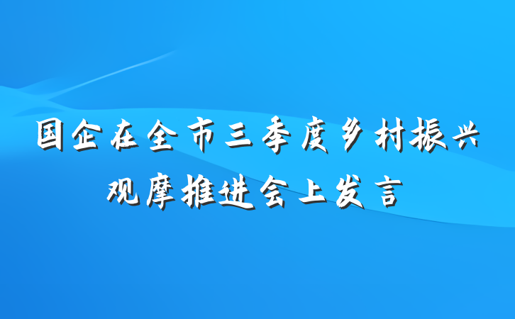 国企在全市三季度乡村振兴观摩推进会上发言