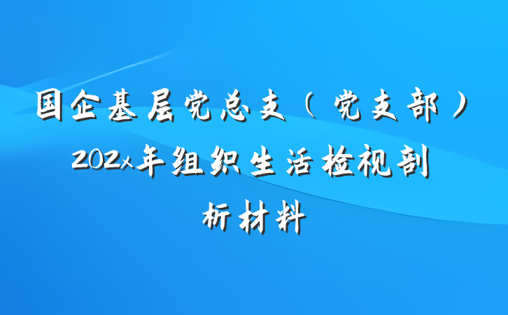 国企基层党总支（党支部）202x年组织生活检视剖析材料