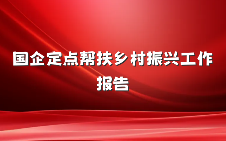 国企定点帮扶乡村振兴工作报告