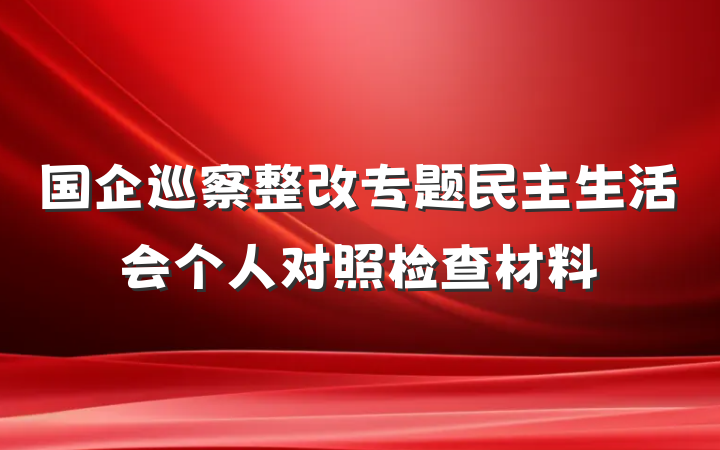 国企巡察整改专题民主生活会个人对照检查材料