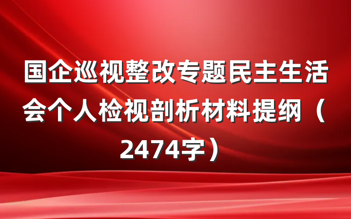 国企巡视整改专题民主生活会个人检视剖析材料提纲（2474字）