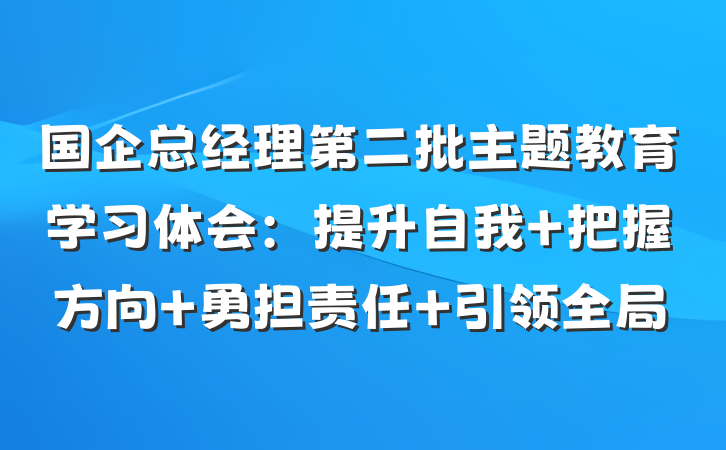 国企总经理第二批主题教育学习体会：提升自我 把握方向 勇担责任 引领全局