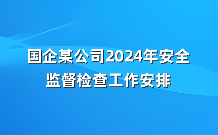 国企某公司2024年安全监督检查工作安排