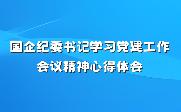 国企纪委书记学习党建工作会议精神心得体会