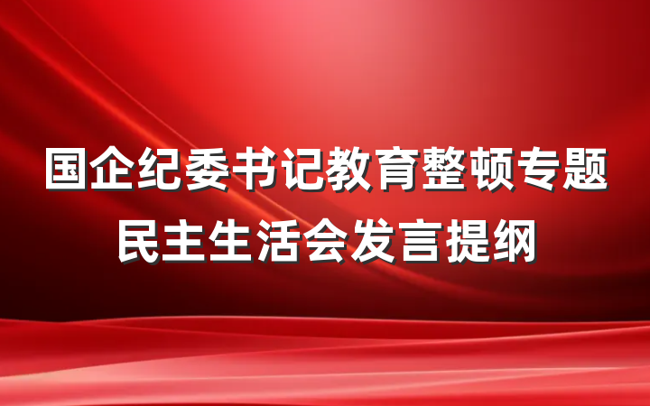 国企纪委书记教育整顿专题民主生活会发言提纲