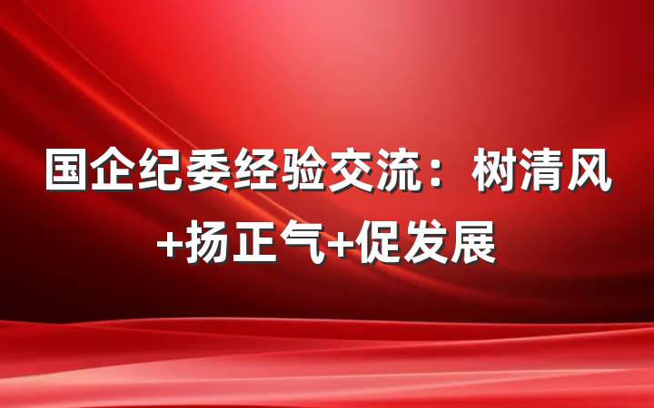 国企纪委经验交流：树清风 扬正气 促发展