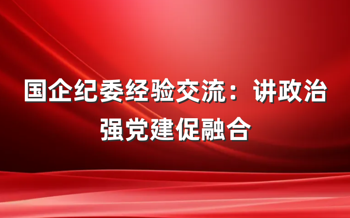 国企纪委经验交流：讲政治强党建促融合