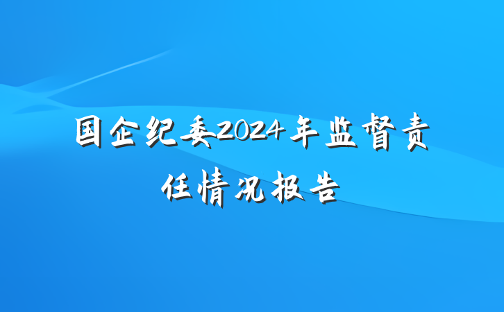 国企纪委2024年监督责任情况报告