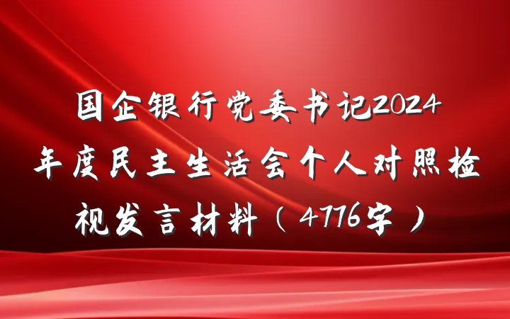 国企银行党委书记2024年度民主生活会个人对照检视发言材料（4776字）