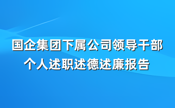 国企集团下属公司领导干部个人述职述德述廉报告