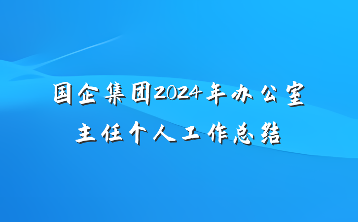 国企集团2024年办公室主任个人工作总结