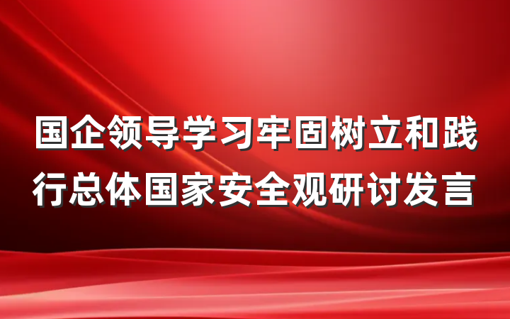 国企领导学习牢固树立和践行总体国家安全观研讨发言