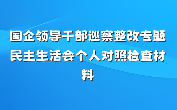 国企领导干部巡察整改专题民主生活会个人对照检查材料