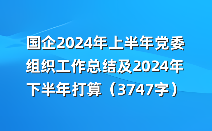 国企2024年上半年党委组织工作总结及2024年下半年打算（3747字）