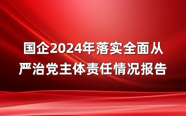 国企2024年落实全面从严治党主体责任情况报告