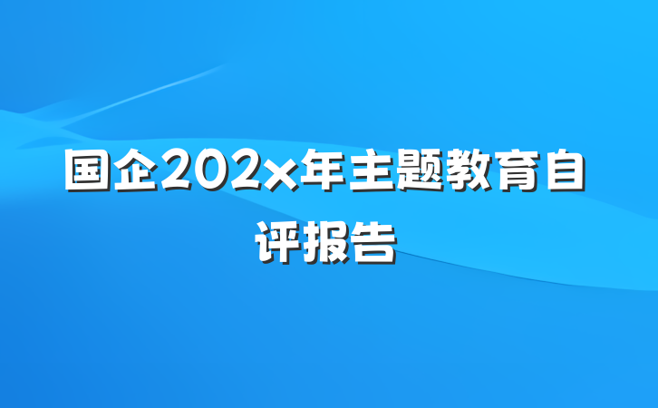 国企202x年主题教育自评报告