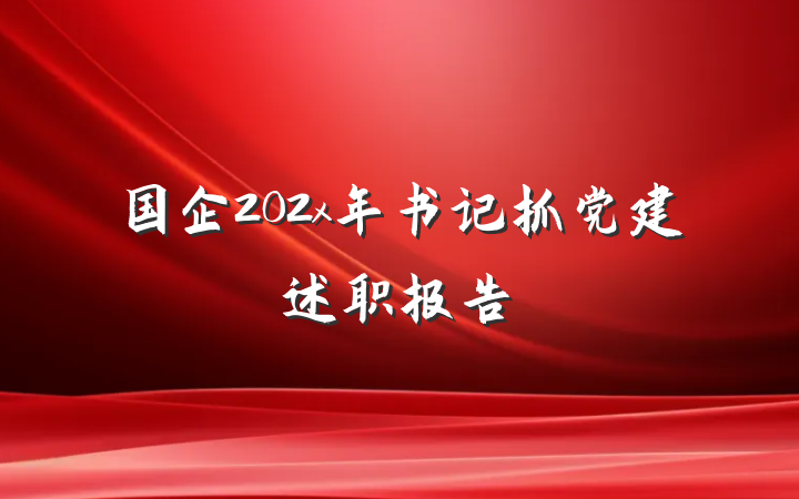 国企202x年书记抓党建述职报告