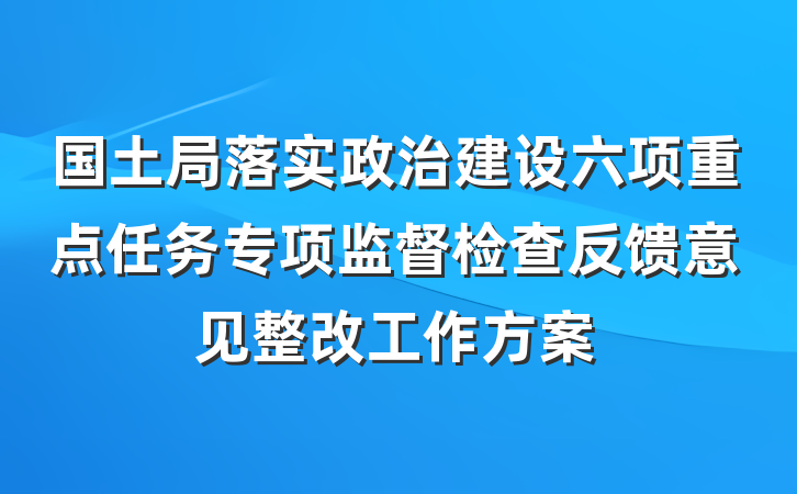 国土局落实政治建设六项重点任务专项监督检查反馈意见整改工作方案
