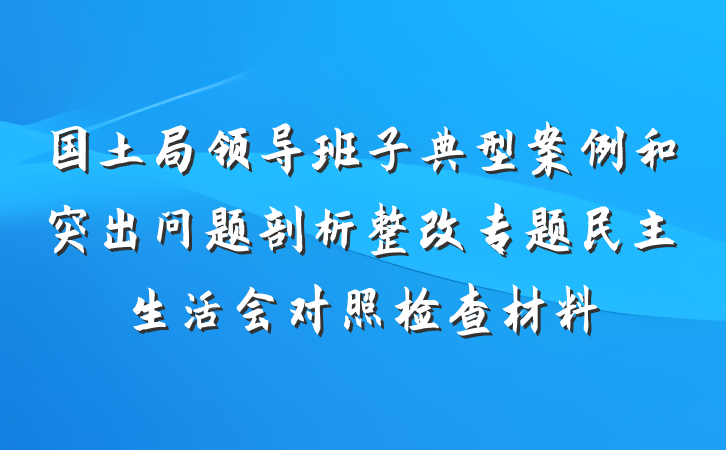 国土局领导班子典型案例和突出问题剖析整改专题民主生活会对照检查材料