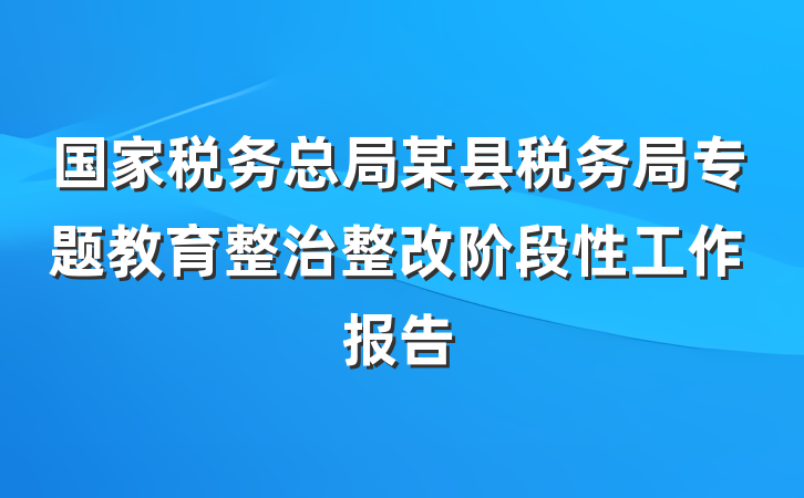 国家税务总局某县税务局专题教育整治整改阶段性工作报告