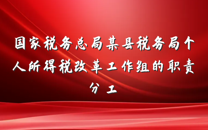 国家税务总局某县税务局个人所得税改革工作组的职责分工