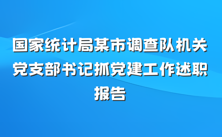 国家统计局某市调查队机关党支部书记抓党建工作述职报告