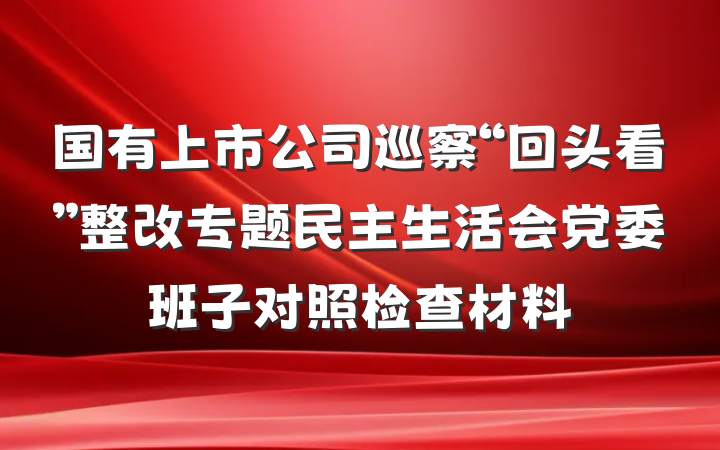 国有上市公司巡察“回头看”整改专题民主生活会党委班子对照检查材料
