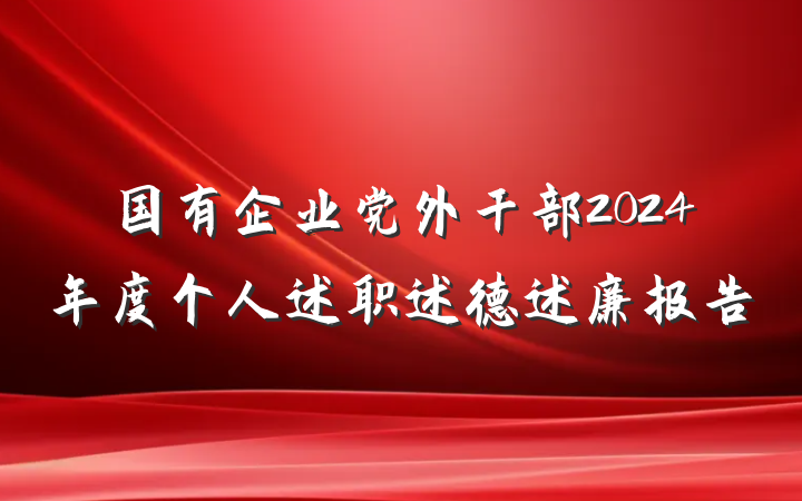 国有企业党外干部2024年度个人述职述德述廉报告