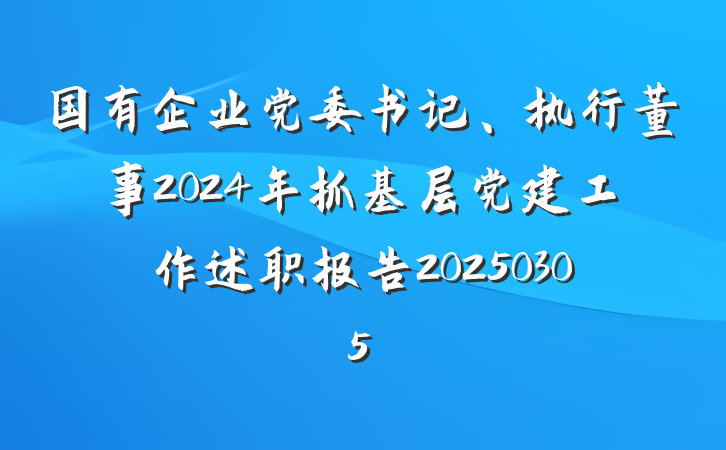 国有企业党委书记、执行董事2024年抓基层党建工作述职报告20250305