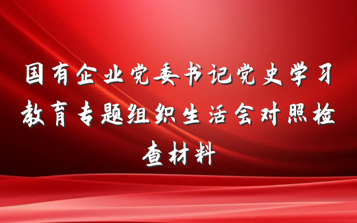 国有企业党委书记党史学习教育专题组织生活会对照检查材料