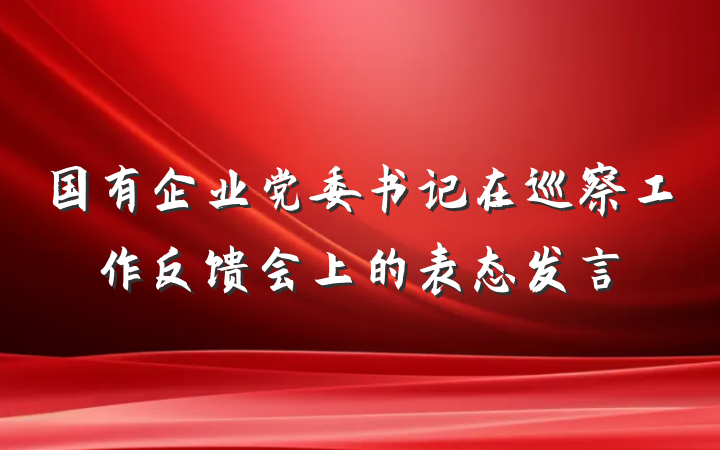 国有企业党委书记在巡察工作反馈会上的表态发言