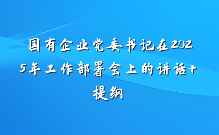 国有企业党委书记在2025年工作部署会上的讲话 提纲