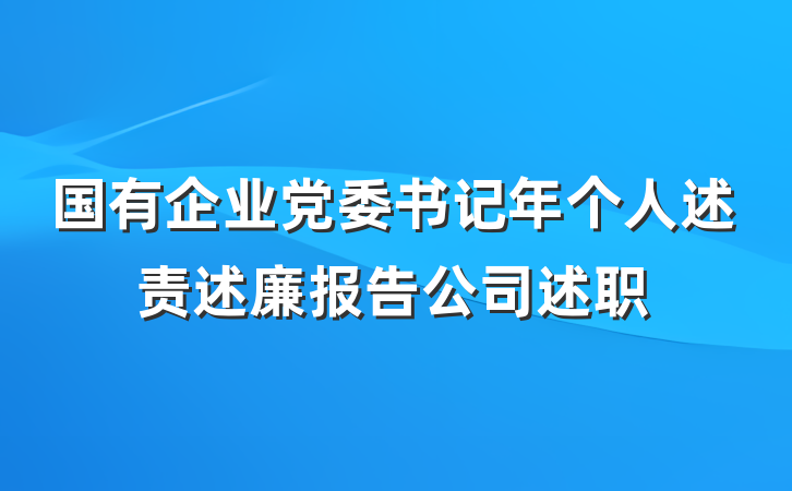 国有企业党委书记年个人述责述廉报告公司述职