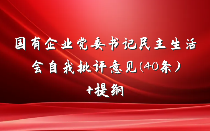 国有企业党委书记民主生活会自我批评意见(40条) 提纲