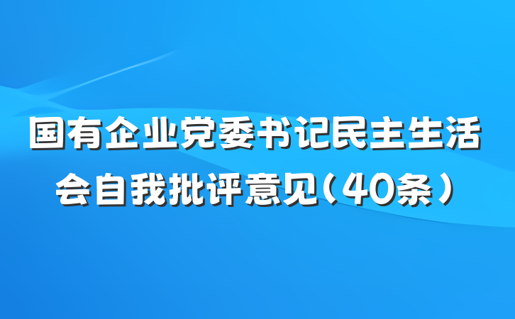 国有企业党委书记民主生活会自我批评意见(40条)
