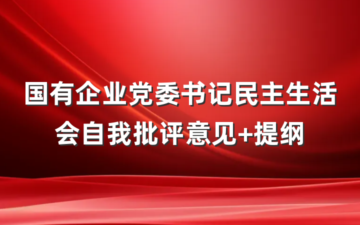 国有企业党委书记民主生活会自我批评意见 提纲
