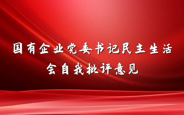 国有企业党委书记民主生活会自我批评意见