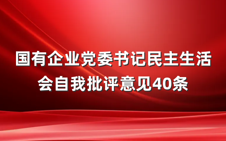 国有企业党委书记民主生活会自我批评意见40条