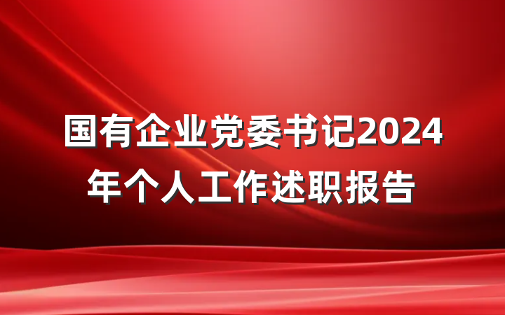 国有企业党委书记2024年个人工作述职报告